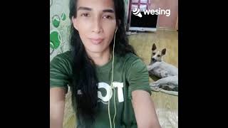 Download Lagu Almost Over You cover by Maria Stela Nieva  MP3