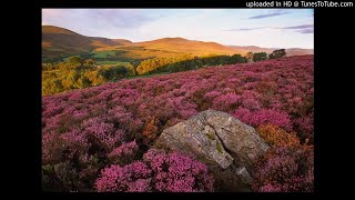 Watch Steve McDonald Wild Mountain Thyme video