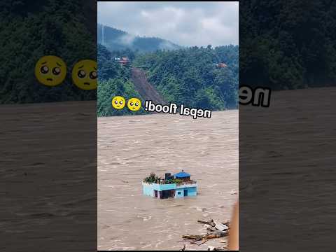 delhi. Nepal flash flood : नेपाल के रसुवा में आई ब...  #viralvideos #nepaleducation