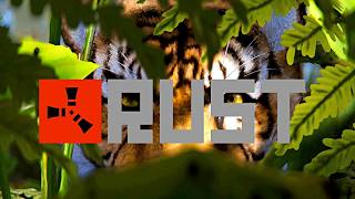 RUST LIVE | wth is this compound!? ii 🫣