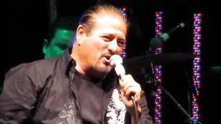 Don Luis El Tejano by Latin Breed