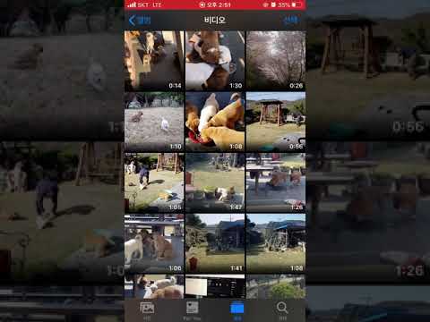 아이폰 이름 변경 New Update 아이폰 사진, 동영상 파일명 바꾸기