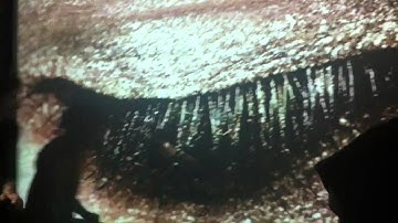 Drupal 7 Release Party Vienna #d7rp