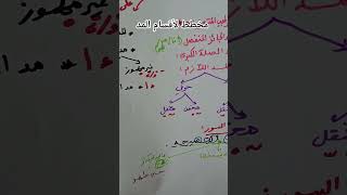 مخطط لتسهيل حفظ أقسام المد