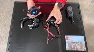 Mini Educator- Pairing for One or Two E-Collars