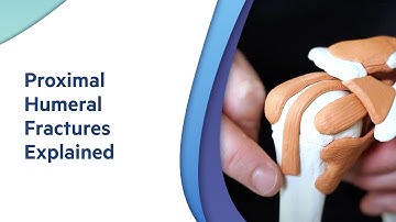 Proximal Humeral Fractures: Explained by Adelaide Orthopaedic Surgeon - Dr Oscar Brumby-Rendell