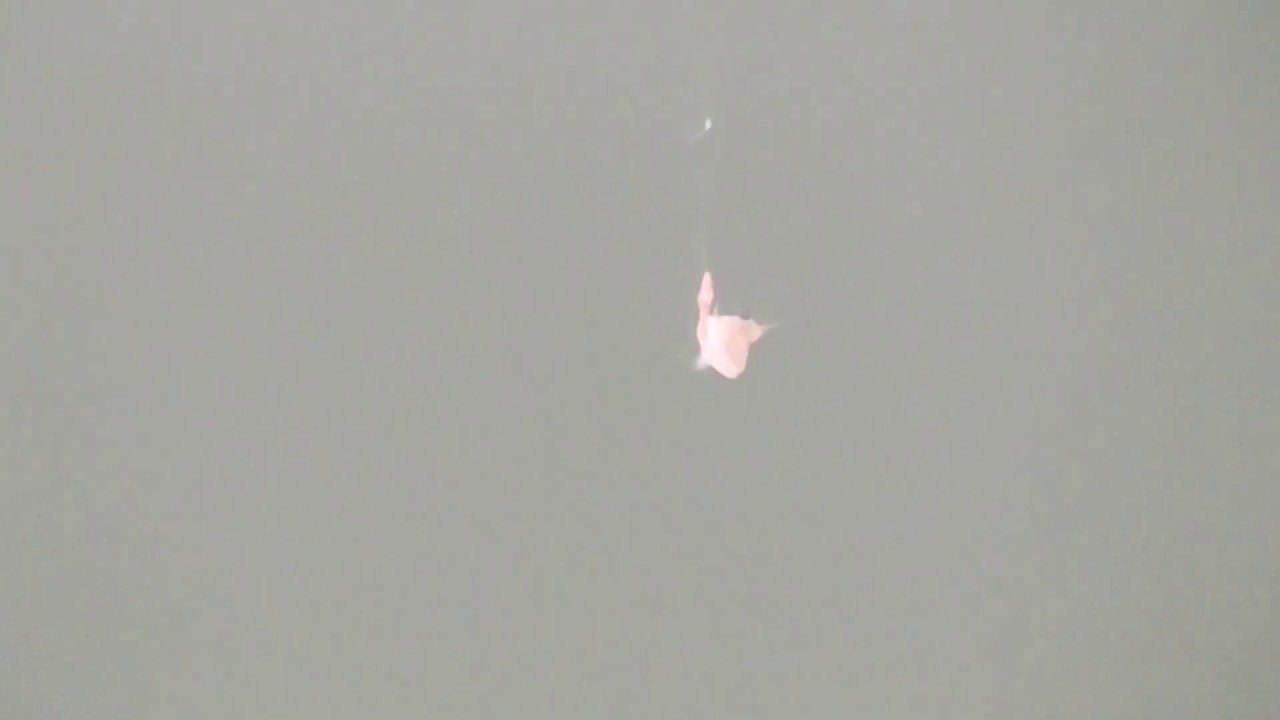 水潮で海は濁っていますがアジ サッパ メッキ等々よく釣れた８月２０日火曜日 釣太郎ブログ