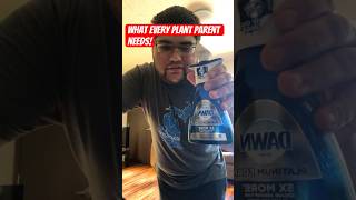 Dish soap is a plant parent’s best friend! #shorts #plants #planttips #garden #lifehacks #planthacks Wealth