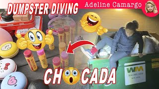 Dumpster diving 😍 loja de maquiagem joga produto novo e lacrado 🥰 quem procura acha!