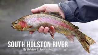 Fly fishing in low water (South Holston River) screenshot 3