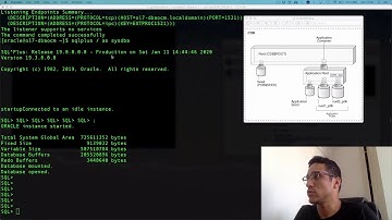 Como criar um Application Root no Oracle 19c via SQL*Plus | Guilherme Brito