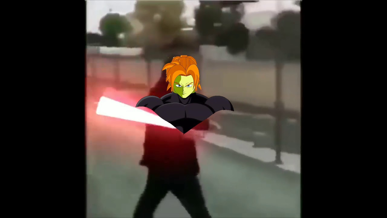 Perfection vs Bulma bunny's fans