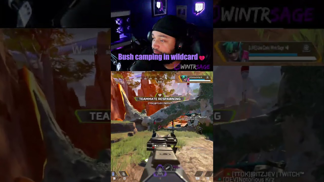 Bush camping in wildcard 