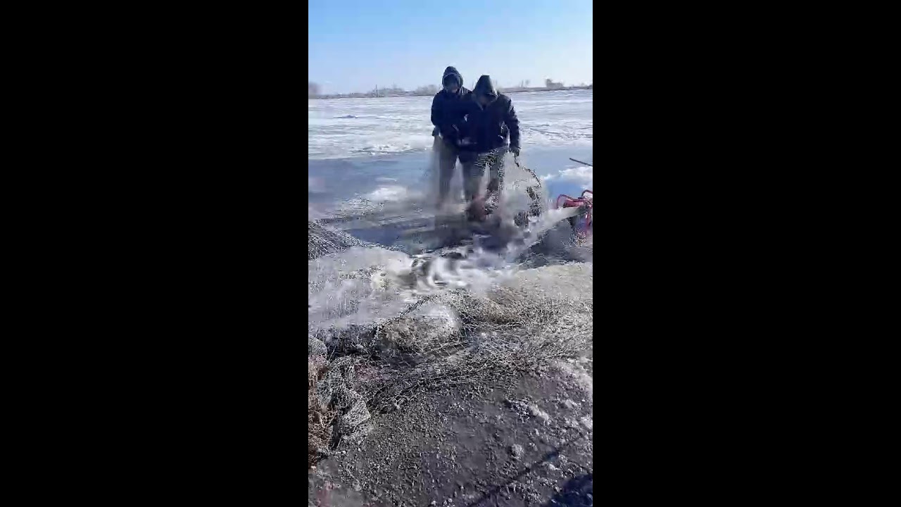 LIVE📹 | Net Fishing in the Pacific Ocean. 