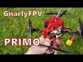 GnarlyFPV Primo Larva-X Conversion 🔥