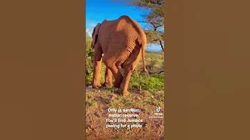 Samburu National Reserve Samburu Tribenomad Travel Travelvlog 
