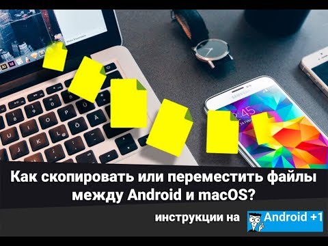 Как перемещать файлы между Android и macOS? (Android File Transfer)