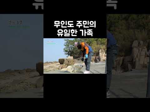나 혼자 두고 가면 어떡해~ #shorts