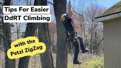 DdRT with Petzl ZigZag / Foot Ascender | Arborist Tree Climbing Techniques