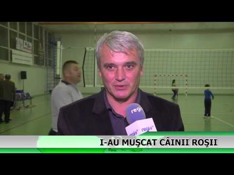 Video: Ce Trebuie Să Faceți Când Ochii Câinelui Dvs. Sunt Roșii