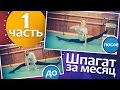 1 Часть. КАК СЕСТЬ НА ШПАГАТ? 100% эффективные упражнения для шпагата. Поперечный шпагат за месяц.