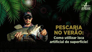Pescaria No Verão Como Utilizar Isca Artificial De Superfície