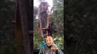 Cobra Gigante Que Teletransporta Malayopython Reticulatus