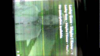 Microsoft Zune - LCD Screen Bug
