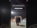 런린이가 무지하게 뛰면 생기는 일 | 첫 8K 러닝 후기 Beginner Runner Tried 8K for the First Time… #러닝브이로그 #runningvlog