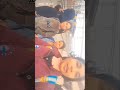sanghras hi jiwan hai,,🐼😍