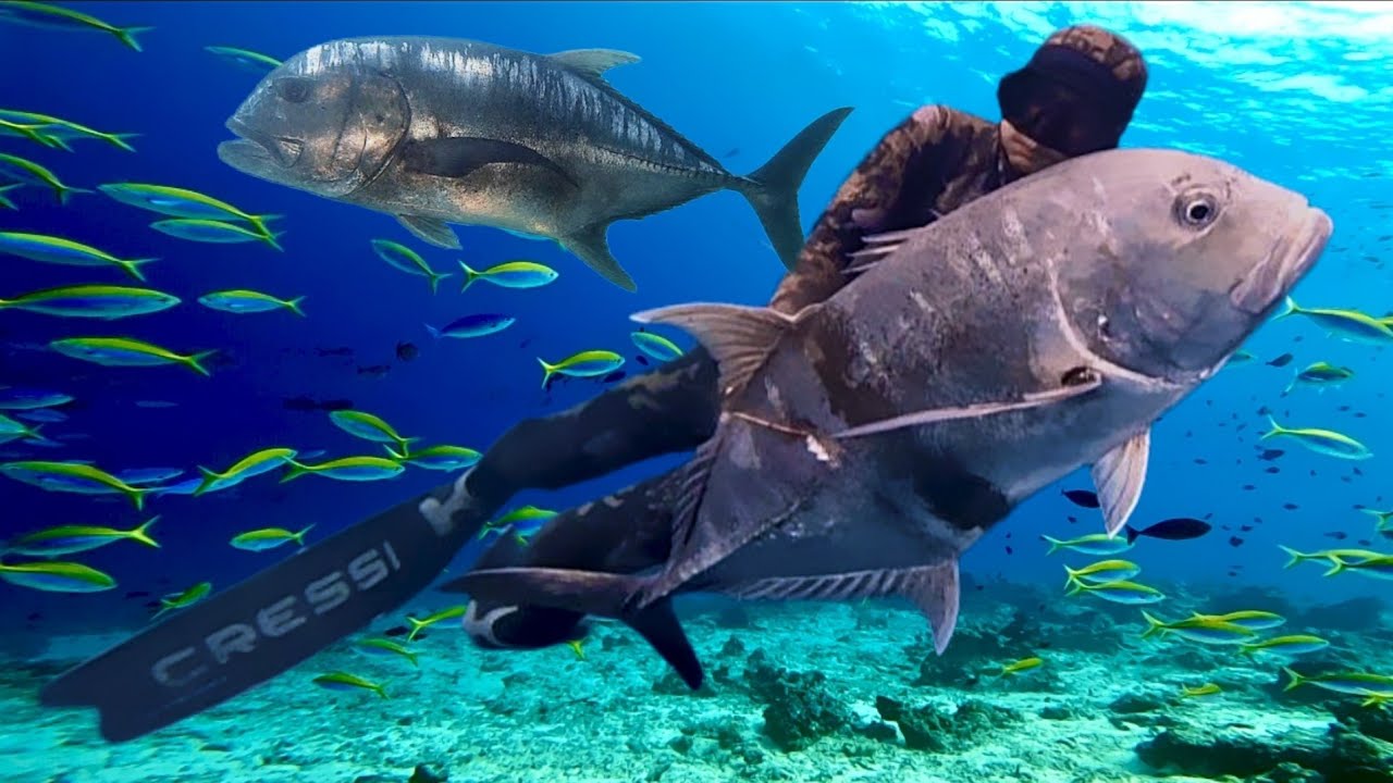 BERBURU DI SARANG IKAN MONSTER GIANT TREVALLY