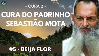 Video thumbnail of "Hino  #5 - Beija Flor - (Gravação Oficial ) ❤️ Cura 2 ❤️"
