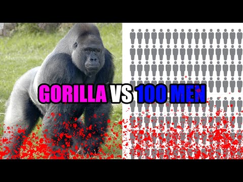 Gorilla VS 100 Men & Motor City 40k Major Needs You- Ep. 471