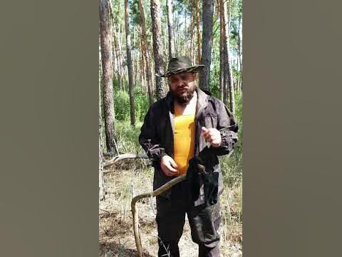 Таким способом можно отпугивать животных в лесу - YouTube