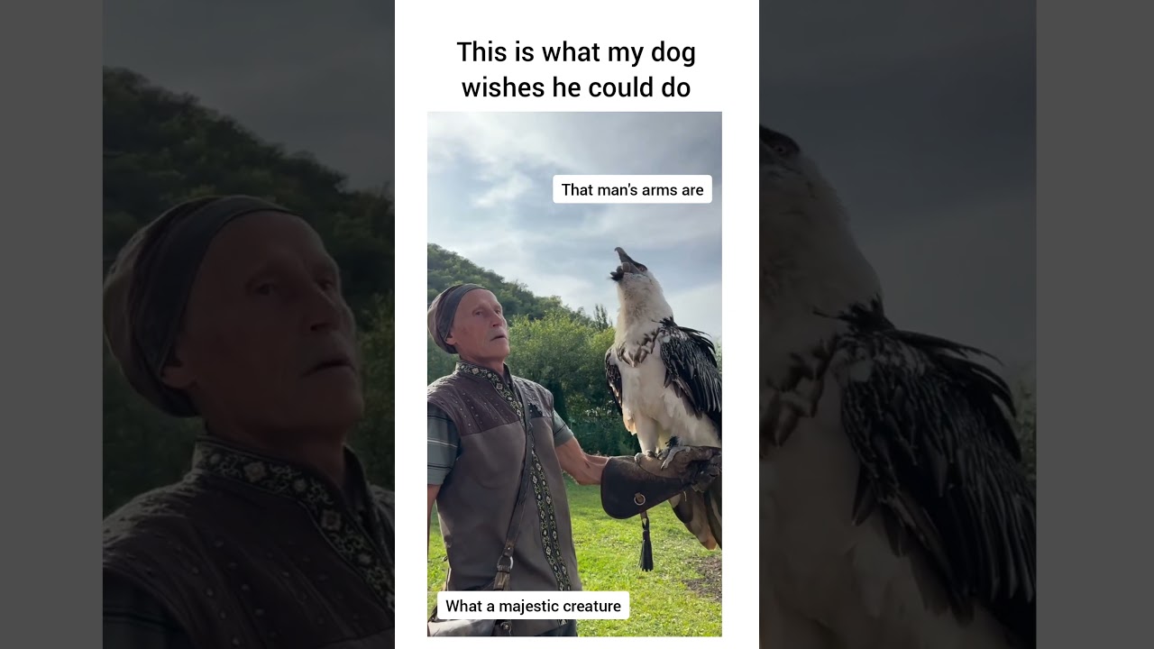 What kind of bird is this? 