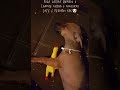 Memes de cachorro engraçado kkkkkkkkkkkkk😂😂😂😂😂😂😂 #video #videoviral #videos #cachorro #memes