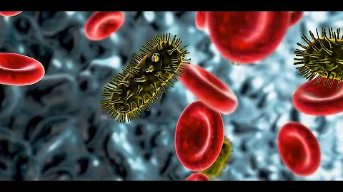 Mpox Monkeypox A Comprehensive Overview | Monkeypox Virus Explained | How Does Monkeypox Spread?