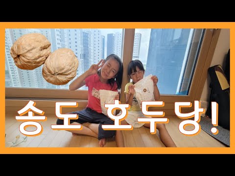 호두당 송도점