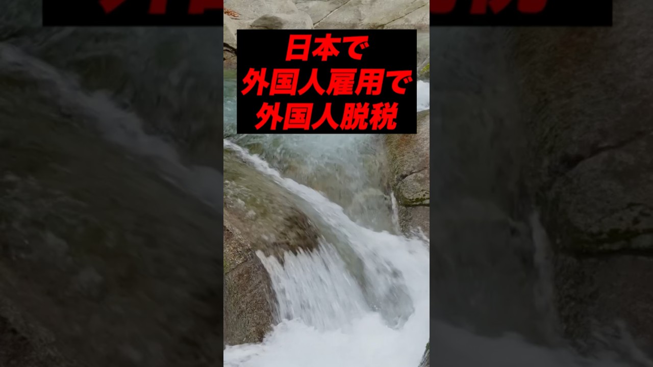 C国籍社長外国人雇用と見せかけ8200万円脱税