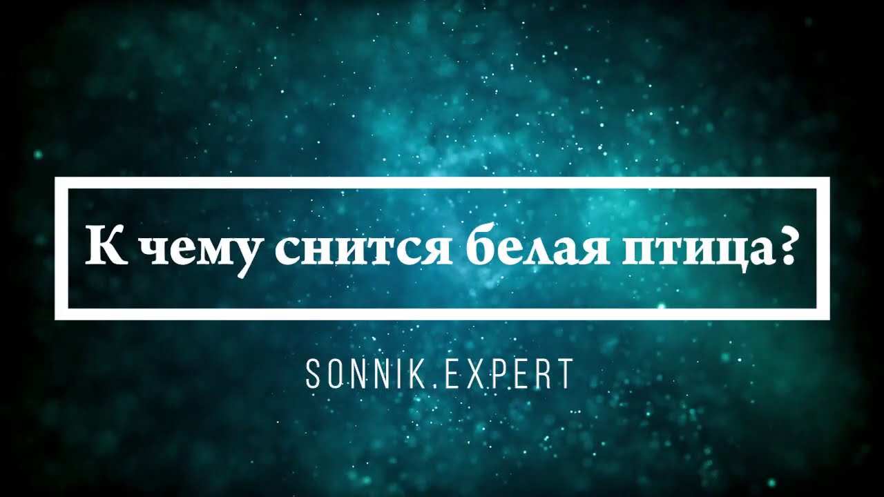 К чему снится белая птица - Онлайн Сонник Эксперт