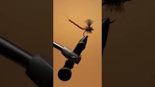 -Tutorial for an extended chenille mayfly body-