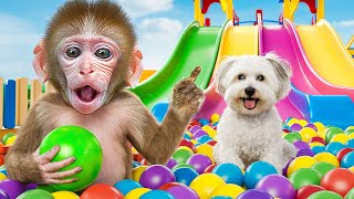 KiKi Monkey try 24 Hours Waterpark Challenge with swimming at Ball Pit Pool | KUDO ANIMAL KIKI