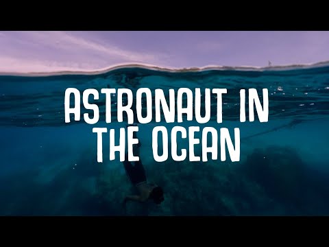 Masked Wolf - Astronaut In The Ocean (Lyrics) 