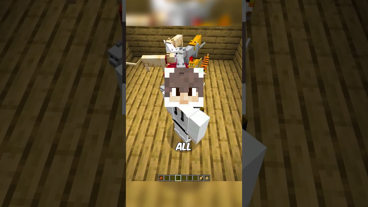 Why Cats Are the Best Pets in Minecraft⁉️