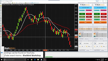 BlackBird Workshop - Setting up a Hedged Order Set