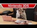 Nintendo Spokesdog Uggie on the Job Training