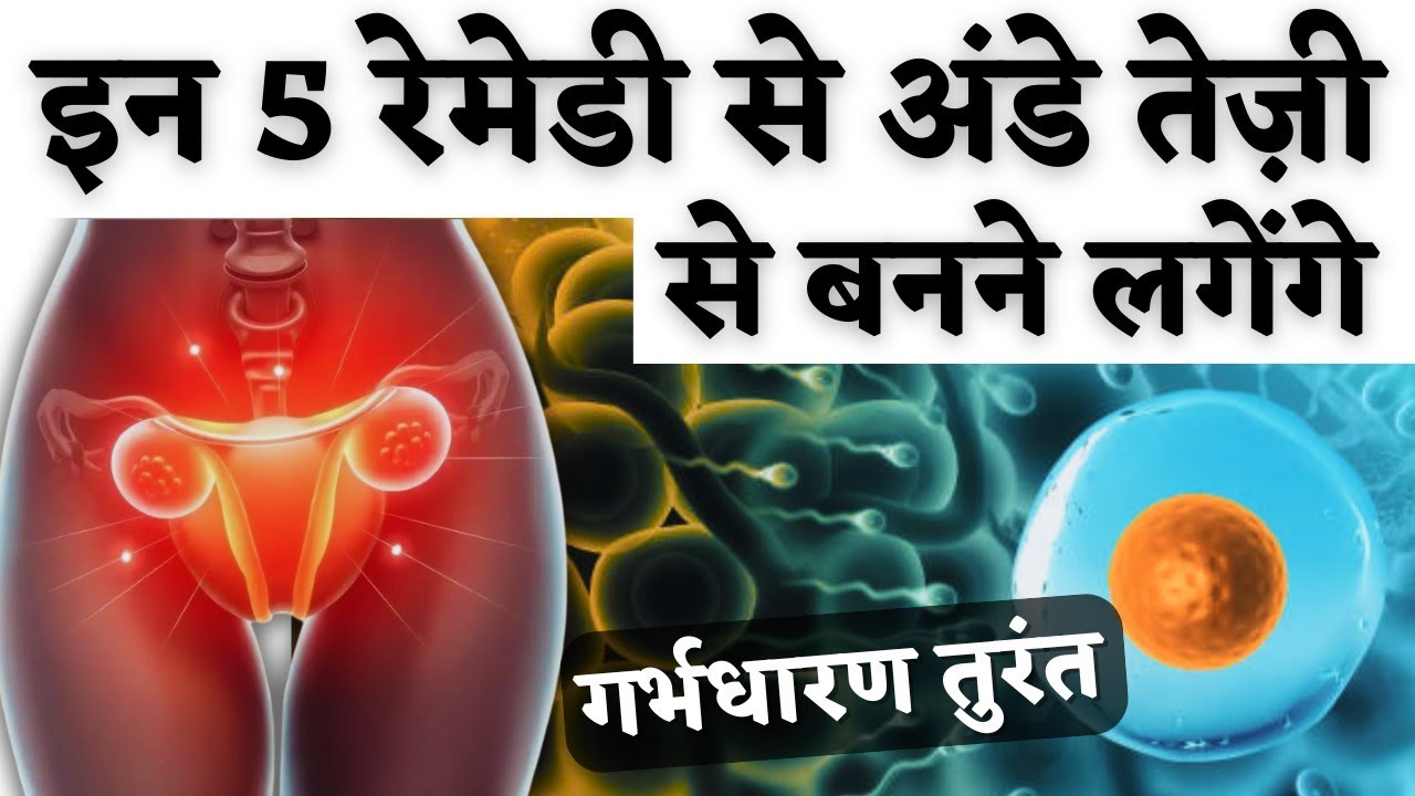 इन 5 रेमेडी से अंडे तेजी से बनने लगेंगे - Egg Quality & Fertility diet tips  