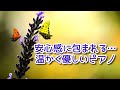 【心が落ち着く音楽】 安心感に包まれる… 温かく優しいピアノ曲たち~リラクゼーション、睡眠、作業