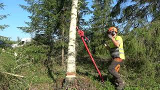 Metsolan Metsäkoulu 395 - kaikki konkelon purkutavat!