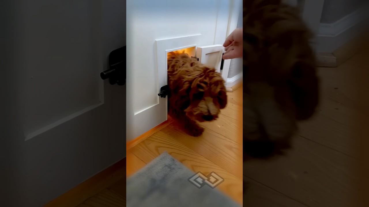 Doogie door custom built for my daughters play room 